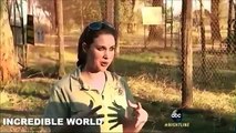 Katherine Chappell Mauled To Death By Lion In South African Safari Park!!!