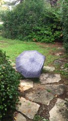 Crazy Witcho Sous La Pluie (Under The Rain)