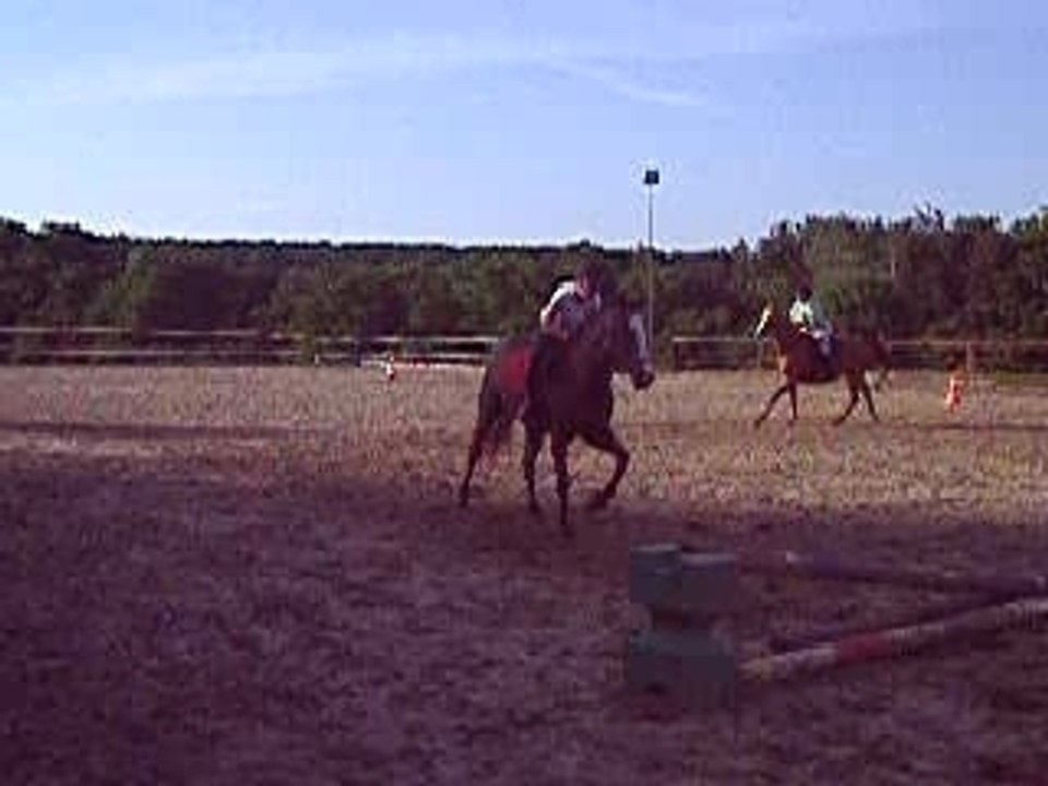 1er cours d'obstacle du 19.06.07 (2)