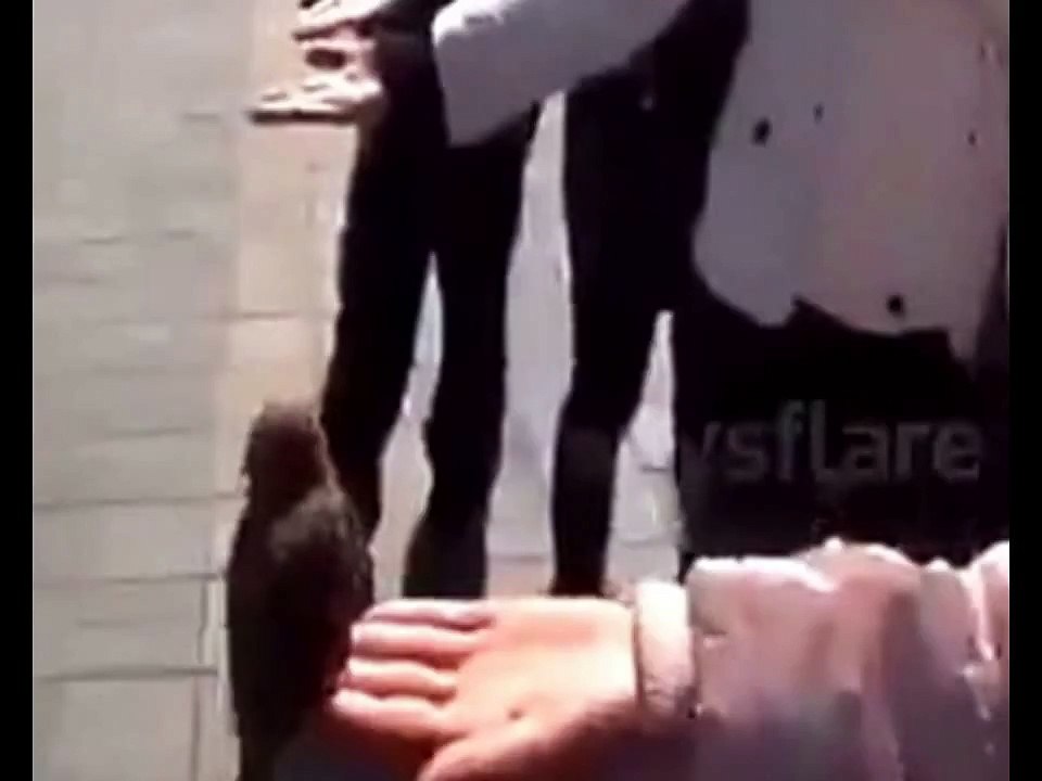 متسول محترف