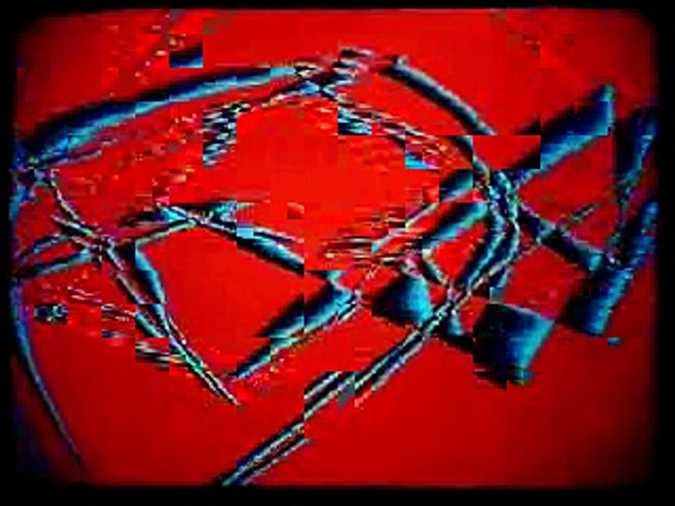 S_D_2_24_1982