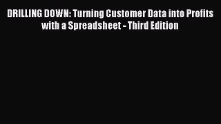 Download DRILLING DOWN: Turning Customer Data into Profits with a Spreadsheet - Third Edition