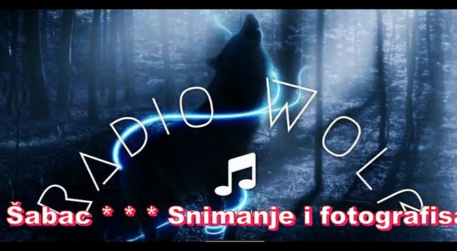 Nedeljko Bajic Baja - 1997 - Bela ruzo