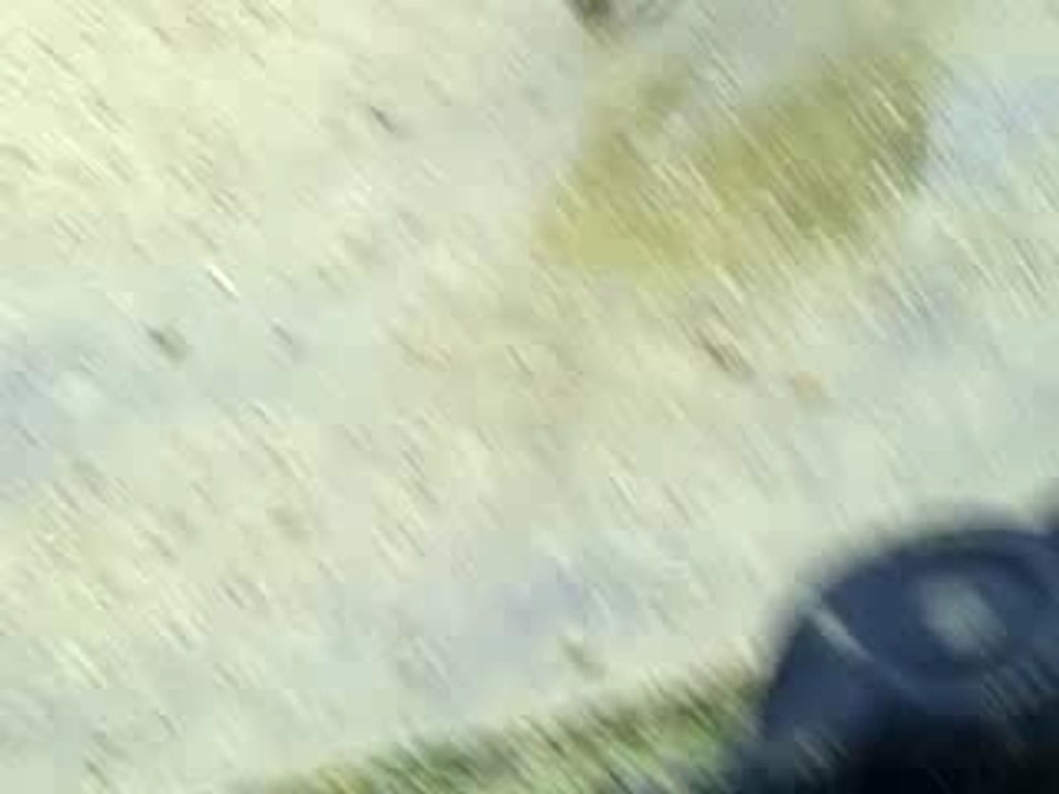 CIMG0411