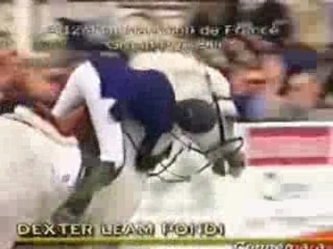 DEXTER LEAM PONDI ... CSO