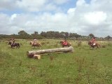 shets sur le cross(talu breton pas)