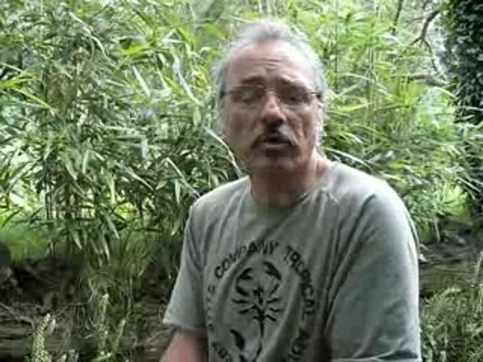 Pierre Quistinic-Terrarium de Kerdanet
