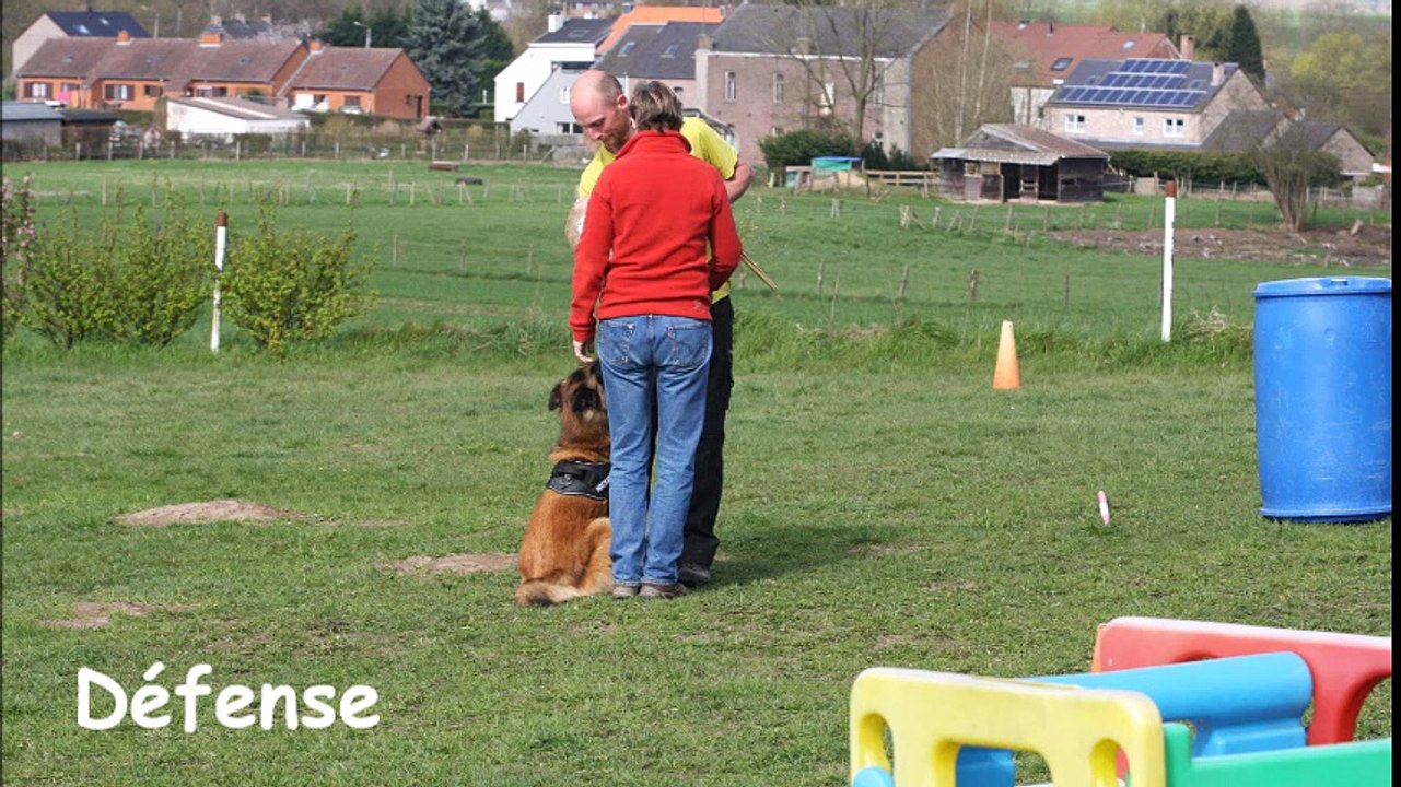La Ckaliksou, élevage de B.B. Tervueren, Nickel de la Ckaliksou avril 2015