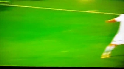 Ternana pro Vercelli 1- 1 Scavone goal 19-04-2016 HD