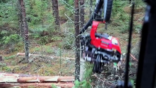 Harvester Komatsu 901 TX 1 with Komatsu C93 Harvesting Head