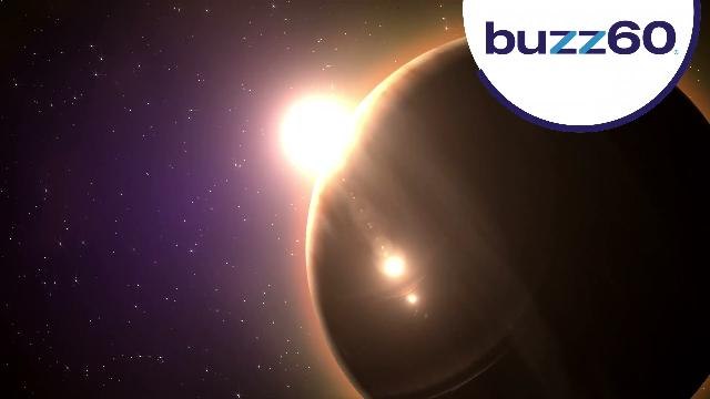 Dolphins Could Be the Answer to Communication With Aliens