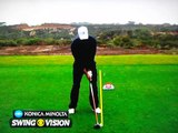 Tiger Woods Ultra Slow Motion (Driver) Torrey Pines