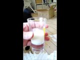 Baloo drikker mælk fra Cat Activity Funboard