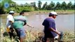 Cocodrilo Mata a Niño Que Se Bañaba En Un Rio En Oaxaca.