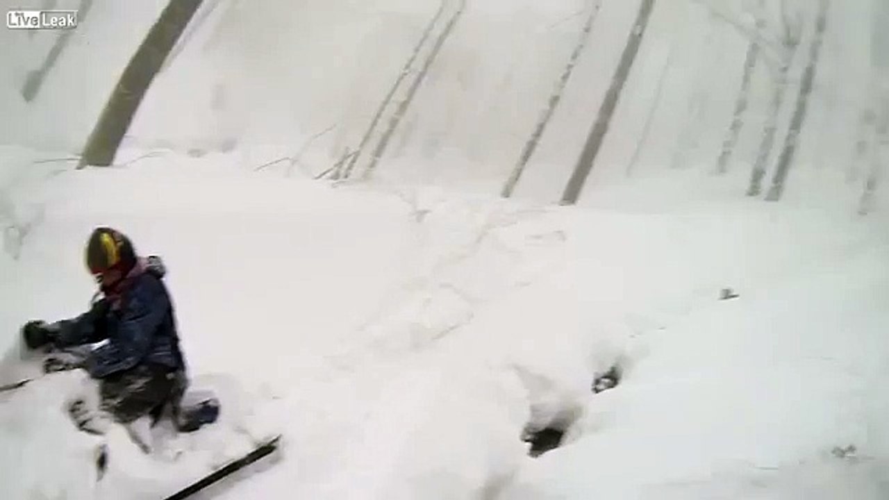 Skier run over by deer