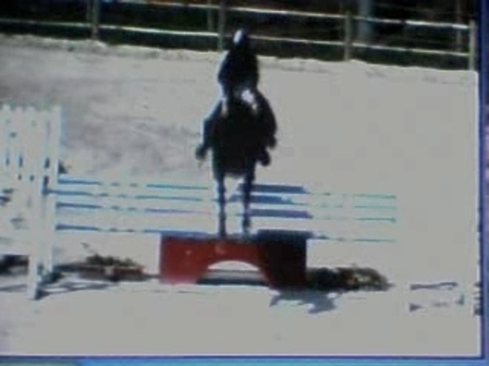Nec istres