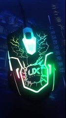 Mouse covered with blood vessels