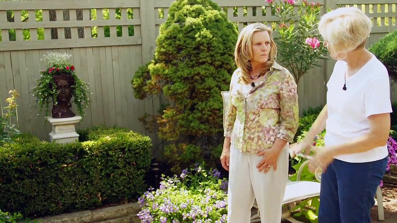 Creating a Focal Point in Your Garden
