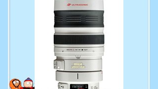 Canon EF 100-400mm  f/4.5-5.6 L IS USM Objektiv (77 mm Filtergewinde)