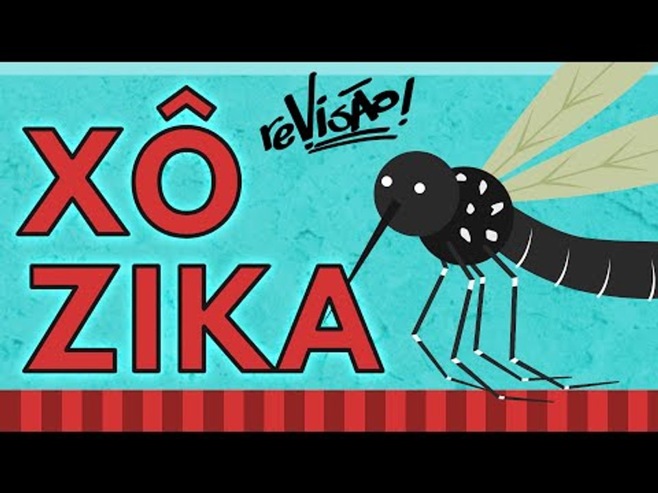 ZIKA VÍRUS, DENGUE E MICROCEFALIA