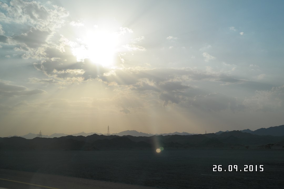 Mountain Goats | Things to do | Muscat | attarctions | Oman | Tourism