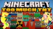 Minecraft Mod's #1 Too Much TNT Mod | 35 New TNTs!