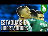 GOLS DA ZUEIRA - ESTADUAIS E LIBERTADORES