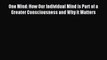 Read One Mind: How Our Individual Mind is Part of a Greater Consciousness and Why it Matters