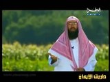 قصص الأنبياء الحلقة 15 - سيدنا أيوب عليه السلام