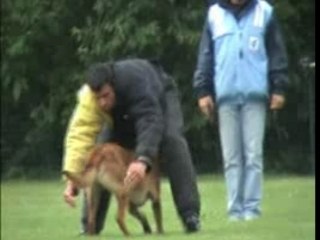 Vidéo de Us'ton 3eme selectif douai