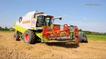 Loonwerken HAVA Claas Lexion 450 tarwe pikdorsen