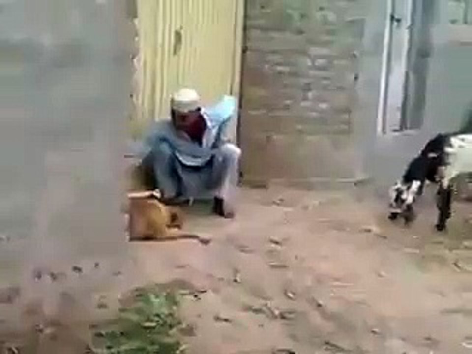 funny video