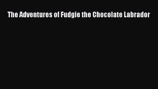 Book The Adventures of Fudgie the Chocolate Labrador Read Online