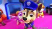 PAW PATROL Parody Video with Scooby Doo Haunted Mansion GAME SHOW Parody by Epic Toy Channel
