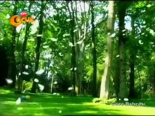 Gece bahçesi 1. bölüm trt çocuk çizgi film izle