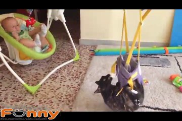 Funny Videos Of Funny Animals Compilation NEW 2016 -Dailymotion part