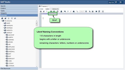 Accessing Data in SAS Libraries