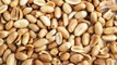 Study: Eating Peanuts May Help Prevent Obesity
