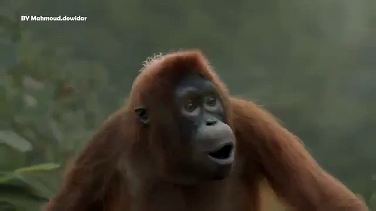 прикол...