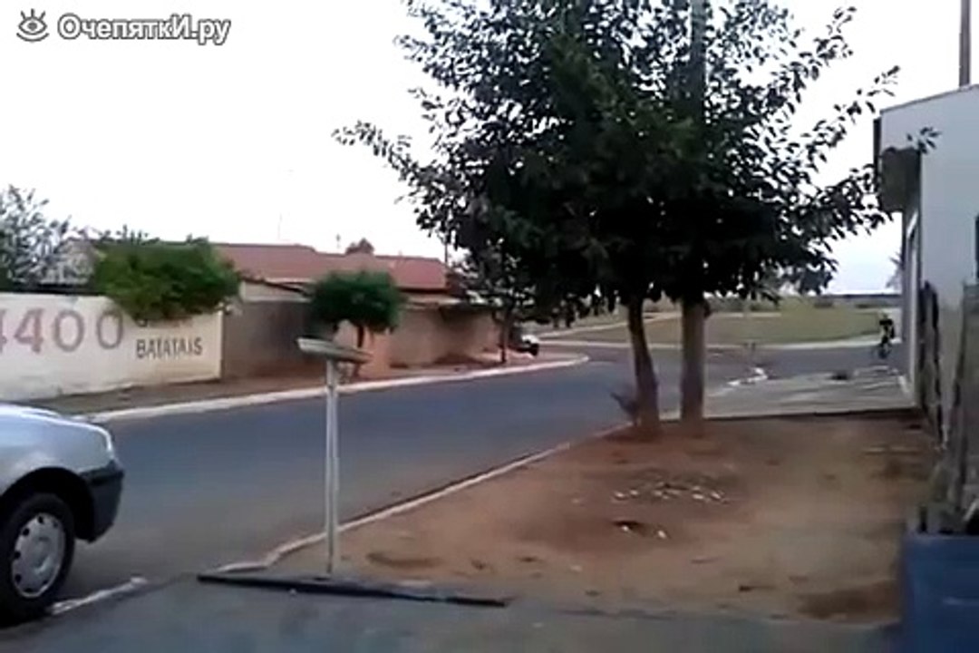 Увидел деньги на дороге