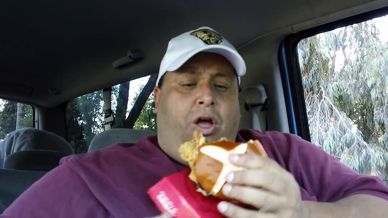 Wendys Pretzel Pub Chicken Sandwich REVIEWED!