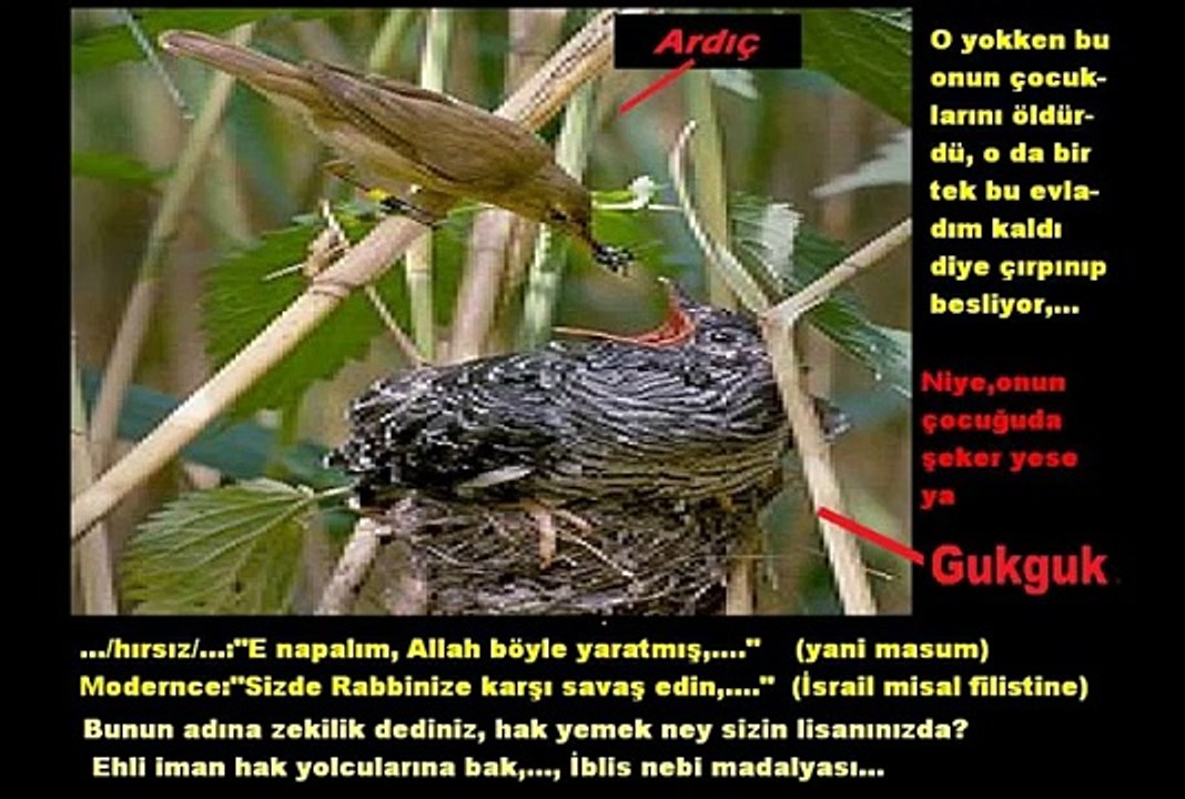 024  LazımDeğilsin