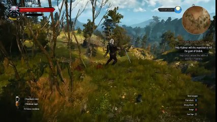 [TAS] The Witcher 3 Wild Hunt in 023.52 (World Record)