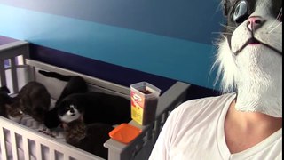 CatDad Feeds His Kitties In Cat Mask Fail! (Original Video)