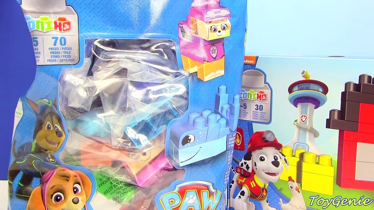 Paw Patrol Adventure Bay and Rescue Marshall Ionix Blocks Set