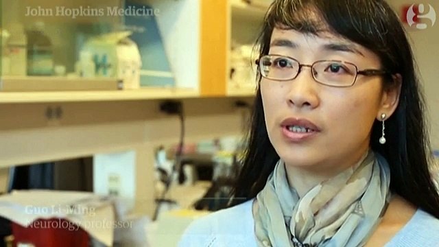 John Hopkins neurology professor on Zika virus microcephaly link