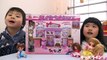 Licca Pet Shop リカちゃん おしゃれペットショップ おもちゃ Doll Toy