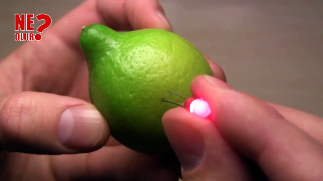 Limona led ampul batırılırsa ne olur #ampul #led #neolur