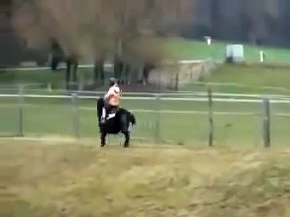 Ostrich vs little girl on a pony