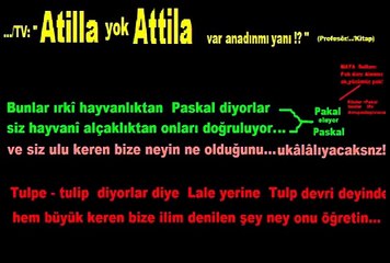 041  Attila var Atilla yok -ötme bülbül ötme